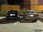 ΤΑ CELICONIA ΣΤΟ ΠΑΡΚΙΝ,