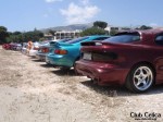 ΤΑ CELICONIA