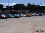 ΤΑ CELICONIA.