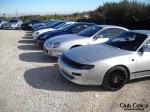 CELICONIA...