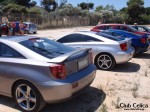 CELICA ΜΕΛΩΝ.