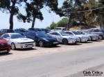 ΤΑ CELICONIA ΜΑΣ!!!
