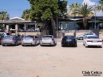 ΤΑ CELICONIA ΜΑΣ