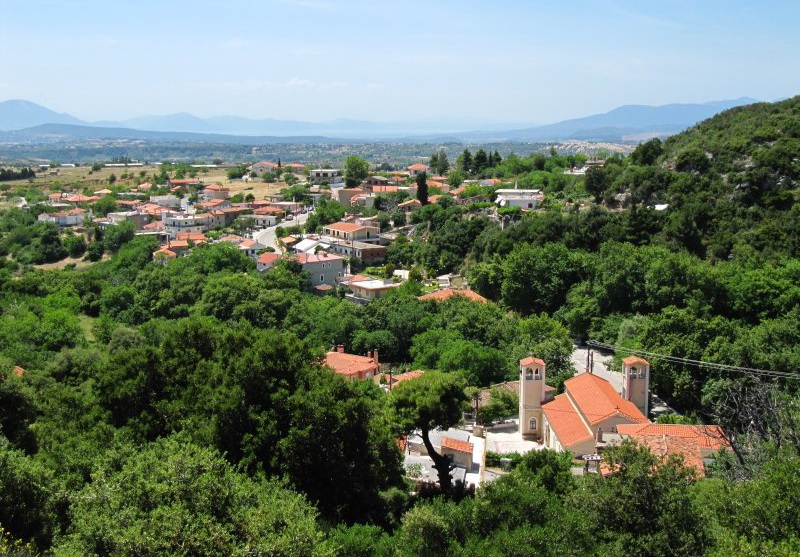 ΕΚΔΡΟΜΗ ΚΥΡΙΑΚΗ 17 ΟΚΤΩΒΡΙΟΥ 2010