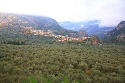 ΕΚΔΡΟΜΗ ΚΥΡΙΑΚΗ 15 ΝΟΕΜΒΡΙΟΥ 2009