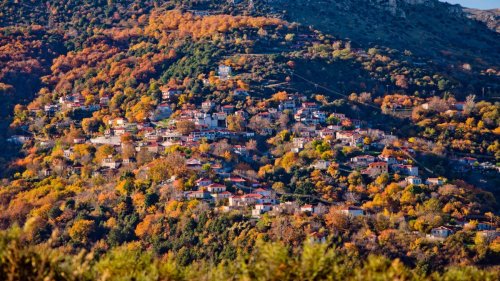 ΕΚΔΡΟΜΗ ΚΥΡΙΑΚΗ 20 ΝΟΕΜΒΡΙΟΥ 2022